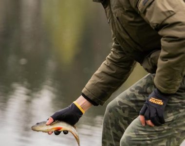 viber_image_2024-04-29_12-03-11-532-683x1024